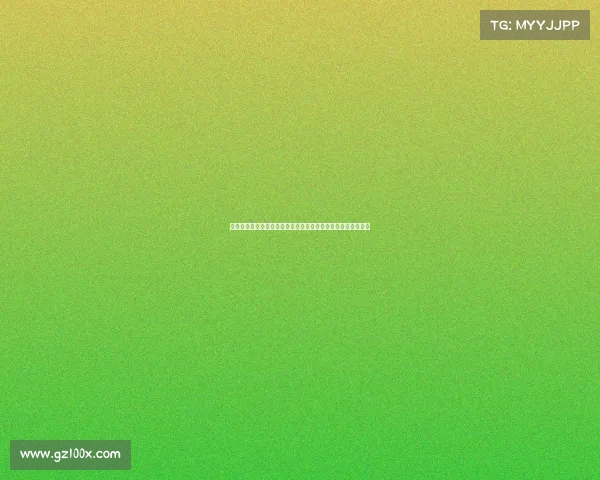 雷恩城市发展与文化特色研究：从历史遗产到现代化转型的探索